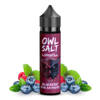 OWL Salt Longfill Blueberry Sour Raspberry Aroma 10 ml